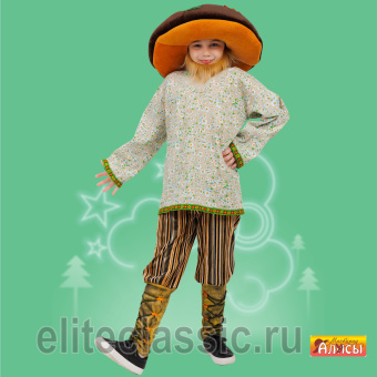 Гриб Боровик