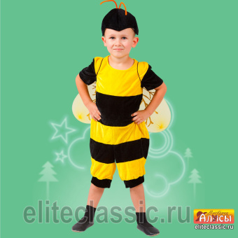 Пчела мальчик