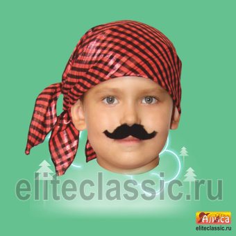 Усы 