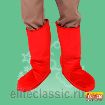 Сапоги  Сапоги