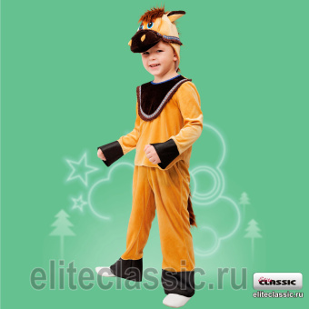 Пони мальчик